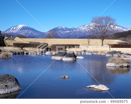 Winter Green Park and Nikko Mountains 99489975