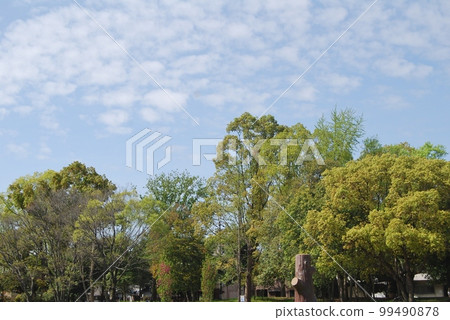 新鮮的綠色景觀 新鮮的綠色景觀 99490878