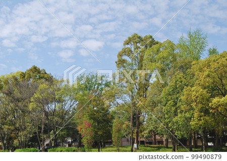 Fresh green landscape Fresh green landscape 99490879