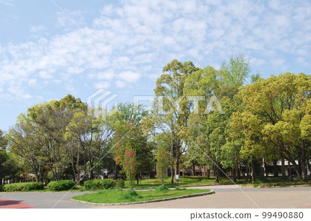 Fresh green landscape 99490880