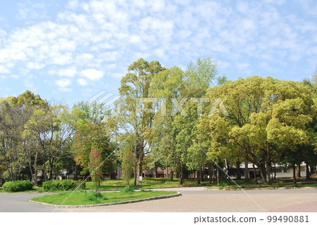 Fresh green landscape Fresh green landscape 99490881