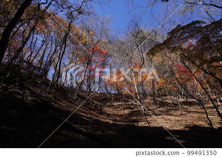 On the way to the Sanpokyo Hiking Trail Commonly known as Momiji Valley Autumn Leaves November 25, 2022 On the way to the Sanpokyo Hiking Trail Commonly known as Momiji Valley Autumn Leaves November 25, 2022 99491350
