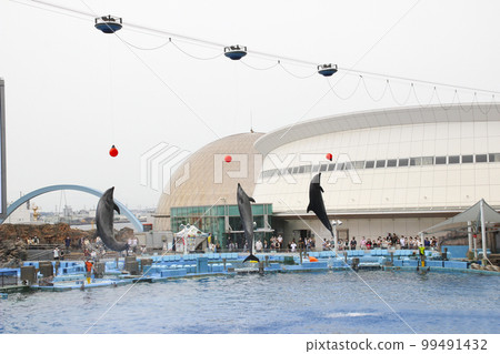 名古屋港公共水族館主池 / 愛知縣名古屋市港區港町 99491432