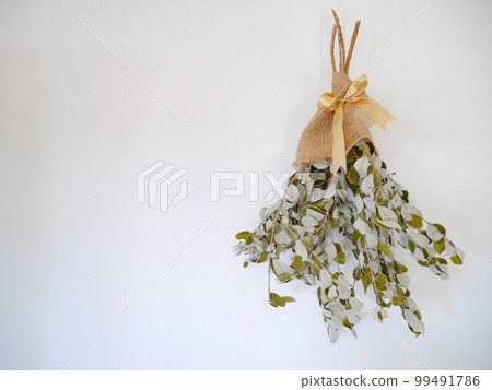 feijoa green swag feijoa green swag 99491786