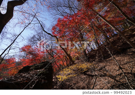On the way to the Sanpokyo Hiking Trail Commonly known as Momiji Valley Autumn Leaves November 25, 2022 99492023