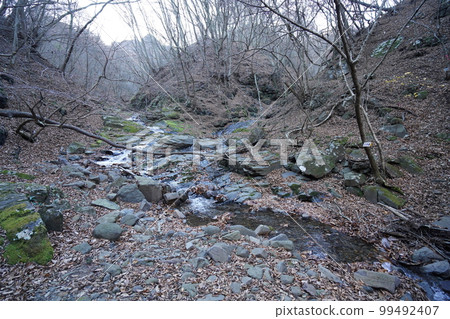 Upstream of Myogi Lake From the three-sided boundary of Ura Myogi to Onna-do, go down a wide valley and arrive at a stream November 25, 2022 Upstream of Myogi Lake From the three-sided boundary of Ura Myogi to Onna-do, go down a wide valley and arrive at a stream November 25, 2022 99492407