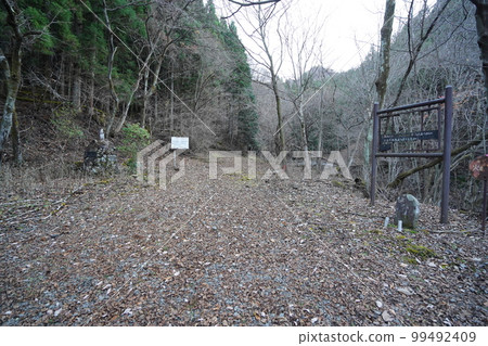 妙義湖上游：從裡妙義三岔口沿女子路下行，沿溪流林道前往宿營地 2022年11月25日 99492409
