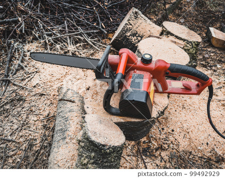 Chainsaw on wooden stump. Cut tree machine. Hard wood working in forest. Copy space for text. 99492929
