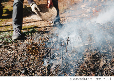 man stokes the fire of a plant remains bonfire 99493001