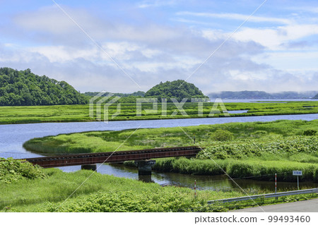 Bekanbeushi Marsh in Eastern Hokkaido Akkeshi 99493460