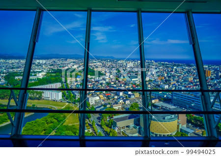 The view from Goryokaku Tower The view from Goryokaku Tower 99494025