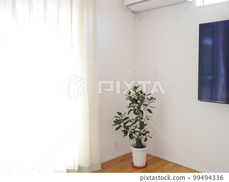 Bright living room, curtains, foliage plants Bright living room, curtains, foliage plants 99494336