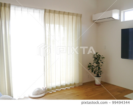 Bright living room, curtains, foliage plants Bright living room, curtains, foliage plants 99494344