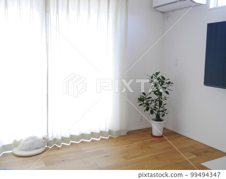 Bright living room, curtains, foliage plants Bright living room, curtains, foliage plants 99494347