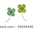 Four-leaf clover watercolor illustration 99494496