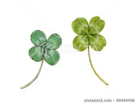 四葉草水彩插圖 99494496