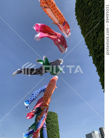 鯉魚旗 99495031