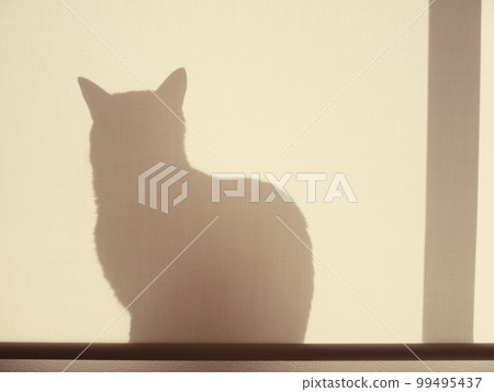 剪影貓 剪影貓 99495437