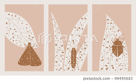 Pastel colors posters collection with grunge butterfly, moth, bug, leaves. Cute trendy pink Vector Banner Templates. 99495683