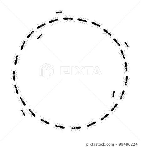 Round frame. Ant trail silhouette, a path of insects in search of food. Isolated on white background 99496224