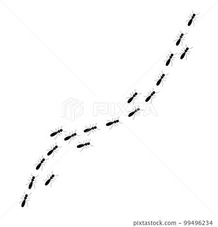 Ant trail silhouette, a path of insects in search of food. Isolated on white background Ant trail silhouette, a path of insects in search of food. Isolated on white background 99496234