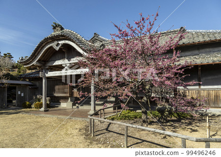 舊鍋島住宅（Nabeshima Residence）和猩紅色的櫻花[長崎縣雲仙市] 99496246