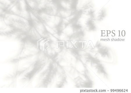Transparent natural plant shadow. Light effect overlay. Mesh grid. Shadows from branches, plant, foliage and leaves on ground. Presentation your design card, poster Photo realistic vector 99496624