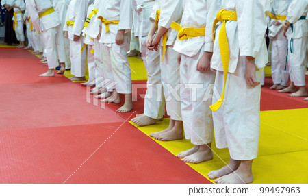 Children in kimono standing in a line on tatami Children in kimono standing in a line on tatami 99497963