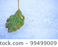 在雪的下落的葉子 99499009