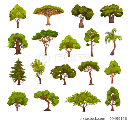 Green Deciduous Trees with Exuberant Tree Crown Big Vector Set 99499158