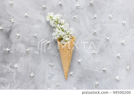 Fresh white lilac flowers in waffle ice cream cone on gray background. Flat lay, top view, copy space, spring abstract floral background. Fresh white lilac flowers in waffle ice cream cone on gray background. Flat lay, top view, copy space, spring abstract floral background. 99500200