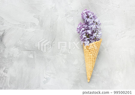 Fresh light purple lilac flowers in waffle ice cream cone on gray background. Flat lay, top view, copy space, spring abstract floral background. Fresh light purple lilac flowers in waffle ice cream cone on gray background. Flat lay, top view, copy space, spring abstract floral background. 99500201