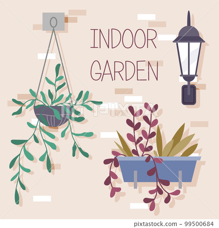 Indoor garden plants and fresh flowers in pot and watering can. House growing potted houseplants 99500684