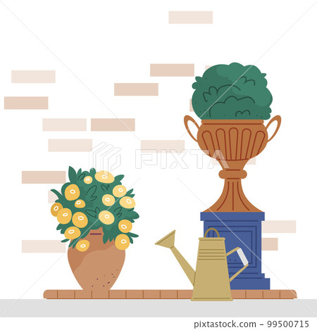 Indoor garden plants and fresh flowers in pot and watering can. House growing potted houseplants Indoor garden plants and fresh flowers in pot and watering can. House growing potted houseplants 99500715