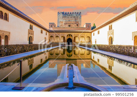 myrtle courtyard  of 14th century  in Alhambra 99501256