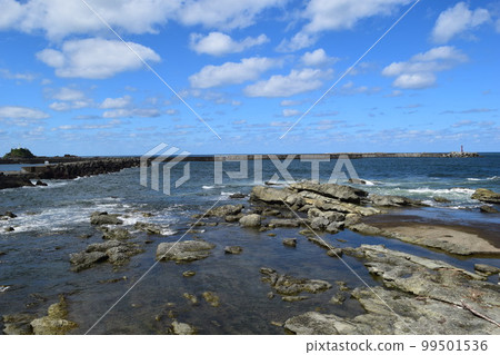 長著奇石的岩石海岸的莊內海岸的岩石景觀 99501536