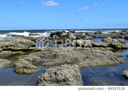 長著奇石的岩石海岸的莊內海岸的岩石景觀 99501538