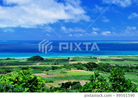 View of Aragusuku Island seen from Mt. Nishi-Odake, Kohama Island, Okinawa Prefecture View of Aragusuku Island seen from Mt. Nishi-Odake, Kohama Island, Okinawa Prefecture 99501590