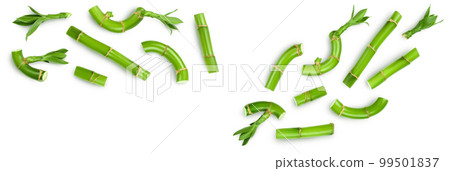 Green bamboo with leaves isolated on white background. Top view with copy space for your text.. Flat lay Green bamboo with leaves isolated on white background. Top view with copy space for your text.. Flat lay 99501837