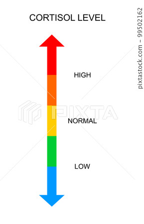 Cortisol meter vertical scale. Body stress response levels chart from low to high isolated on white background. Vector flat illustration Cortisol meter vertical scale. Body stress response levels chart from low to high isolated on white background. Vector flat illustration 99502162