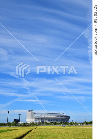 Eco stadium and rural scenery (Niigata Prefecture) 99502328