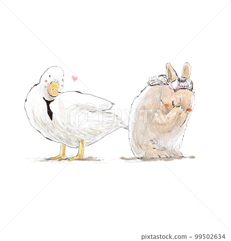 鴨兔可愛動物結婚情侶害羞鴨老公兔老婆老婆老公動物寶寶插畫 99502634