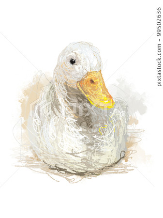duck colored pencil luck animal emotion illustration 99502636