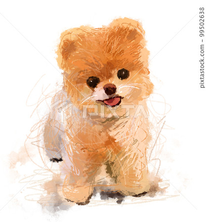 波美拉尼亞小狗畫彩色鉛筆可愛的插圖 99502638