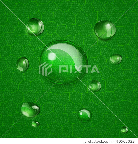 Background with drops on green leaf Background with drops on green leaf 99503022