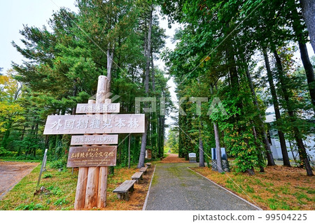 Ayako Miura Literature Museum/Foreign Species Specimen Forest (Asahikawa City, Hokkaido) 99504225