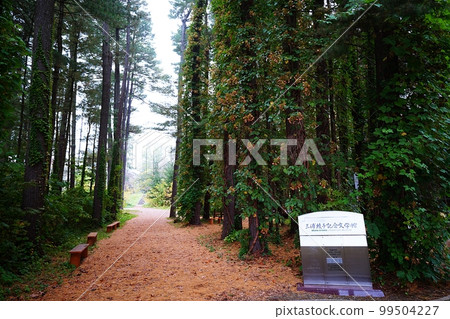 三浦綾子文學館/外來物種標本林（北海道旭川市） 99504227