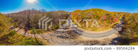 Aerial view of road in beautiful autumn forest at sunset. Beautiful landscape with empty rural road, trees with red and orange leaves. Highway through the park. Top view from flying drone. Nature 99504284