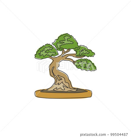 504 Bonzai Plant Stock Photos - Free & Royalty-Free Stock Photos