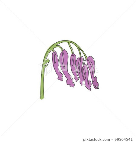 Single continuous line drawing beauty fresh perennial herbaceous plant for wall art home decor poster print. Decorative corydalis flower for floral card frame.One line draw design vector illustration Single continuous line drawing beauty fresh perennial herbaceous plant for wall art home decor poster print. Decorative corydalis flower for floral card frame.One line draw design vector illustration 99504541